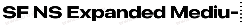 SF NS Expanded Mediu字体转换 SF NS Expanded Mediu字体转换